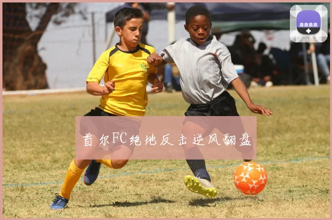 首尔FC绝地反击逆风翻盘