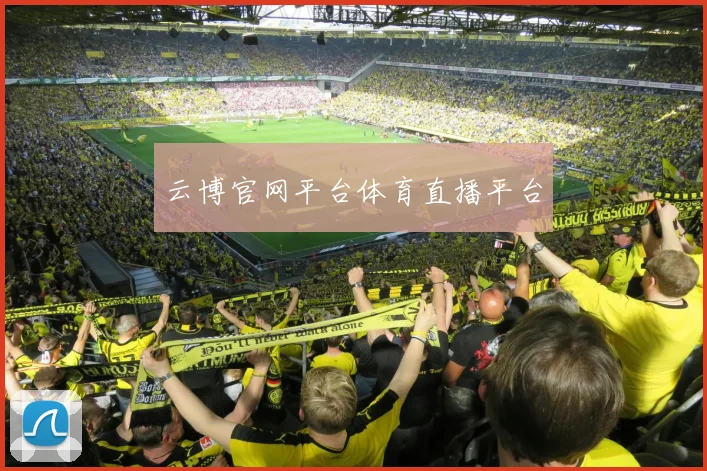 云博官网平台体育直播平台
