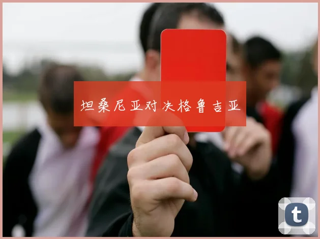 坦桑尼亚对决格鲁吉亚