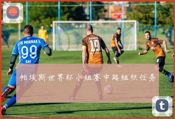 帕埃斯世界杯小组赛中路组织任务