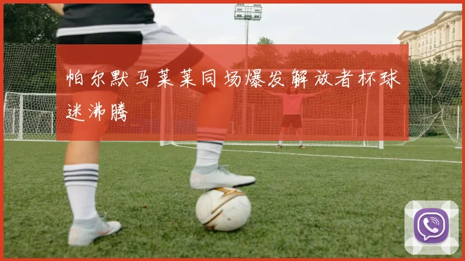帕尔默马莱莱同场爆发解放者杯球迷沸腾