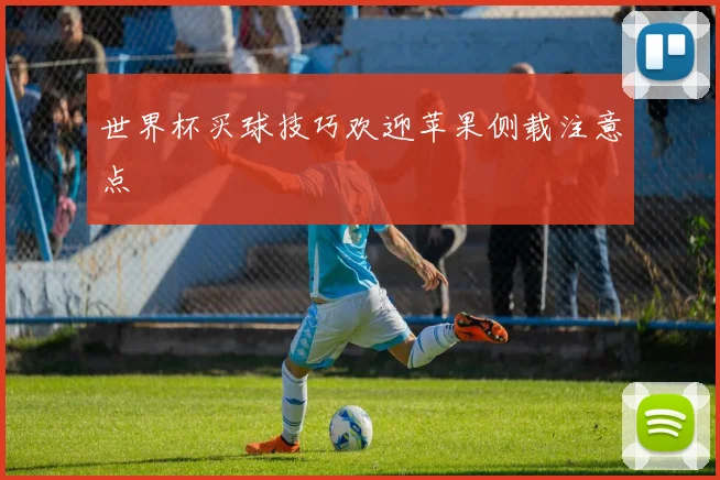 世界杯买球技巧欢迎苹果侧载注意点