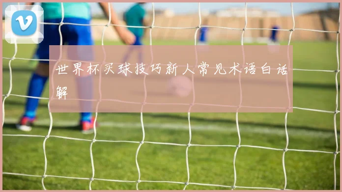 世界杯买球技巧新人常见术语白话解