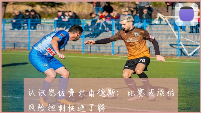 认识恩佐费尔南德斯：比赛阅读的风险控制快速了解