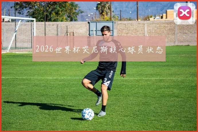 2026世界杯突尼斯核心球员状态